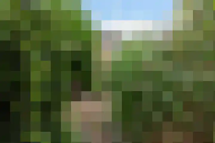 Schoolstraat 95 Putten thumbnail 26