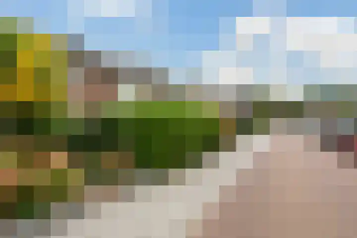 Schoolstraat 95 Putten thumbnail 31