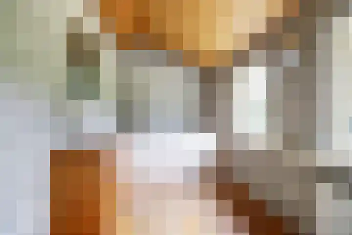Schoolstraatje 2 Velp thumbnail 31