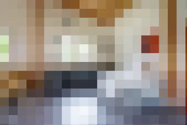 Schoolstraatje 2 Velp thumbnail 51