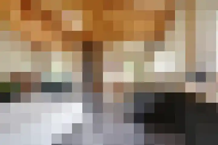 Schoolstraatje 2 Velp thumbnail 52