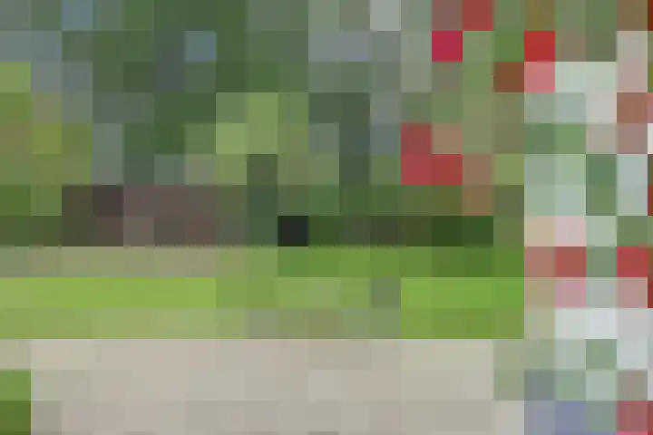 Schoolstraatje 2 Velp thumbnail 76