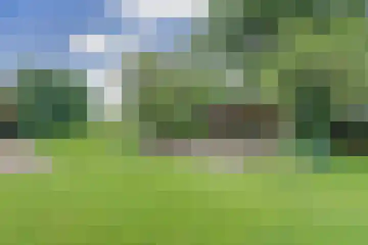 Schoolstraatje 2 Velp thumbnail 77