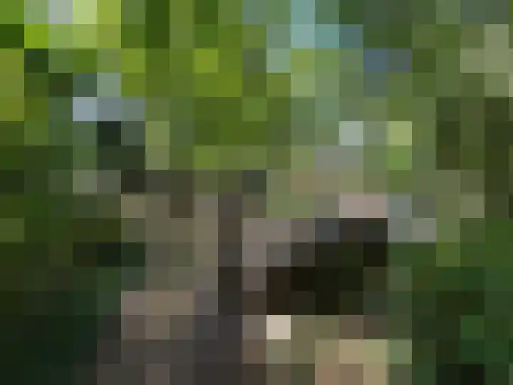 Schoolstraatje 2 Velp thumbnail 78