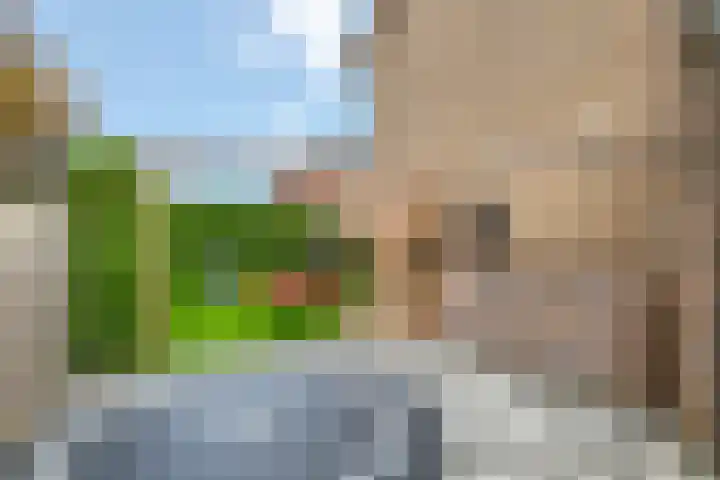 Schoolweg 1 Deest thumbnail 31