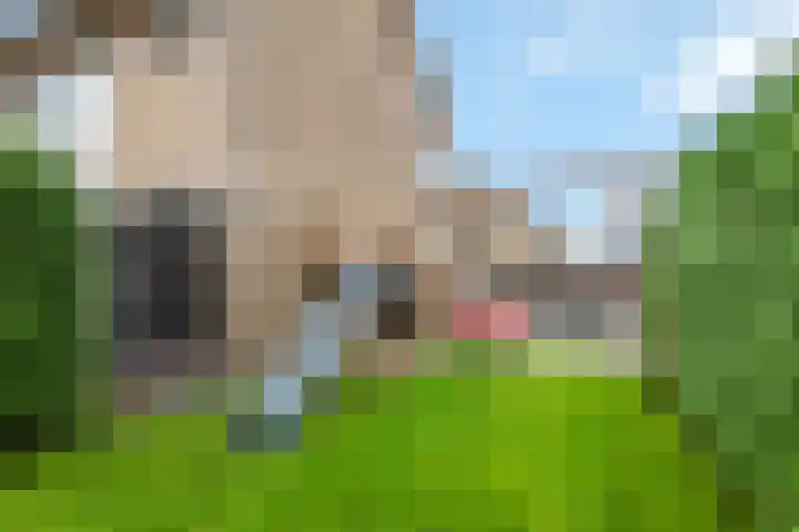 Schoolweg 1 Deest thumbnail 32