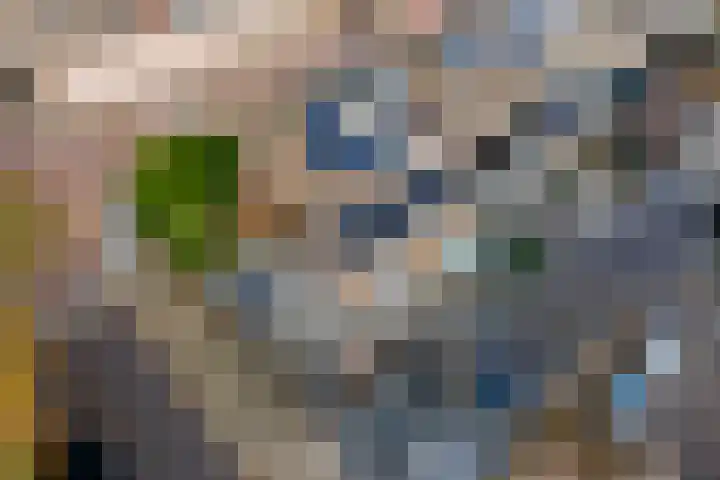 Schoolweg 1 Deest thumbnail 39