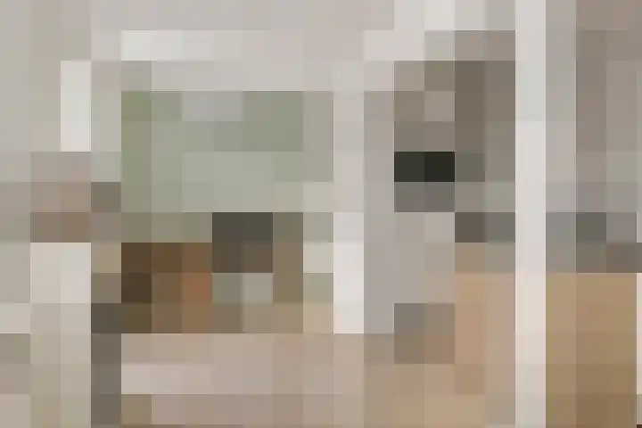 Schoolweg 1 Deest thumbnail 8