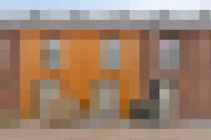 Schoonbraek 12 in Best