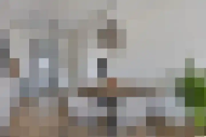 Schoonbraek 12 Best thumbnail 12
