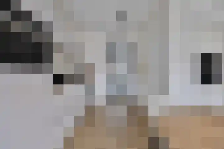 Schoonbraek 12 Best thumbnail 13