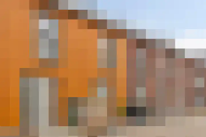 Schoonbraek 12 Best thumbnail 31