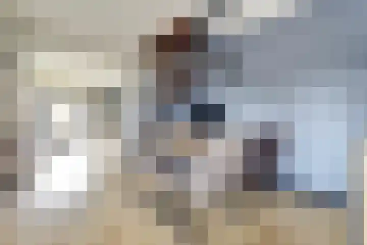 Schoondonk 1 Oosterhout thumbnail 13