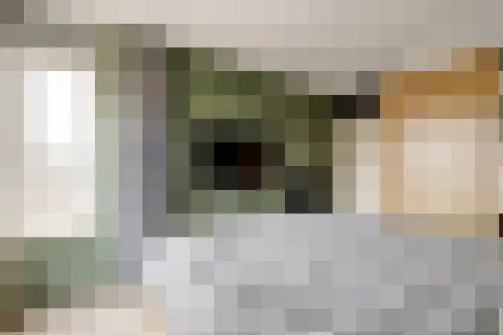 Schoondonk 1 Oosterhout thumbnail 19