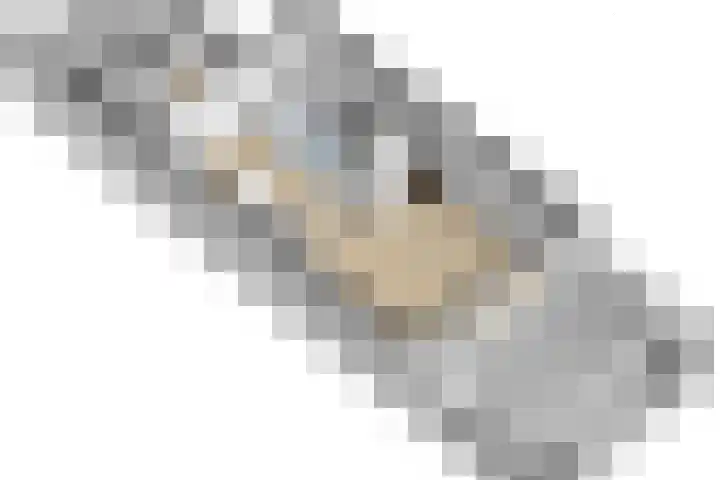 Schoondonk 1 Oosterhout thumbnail 41
