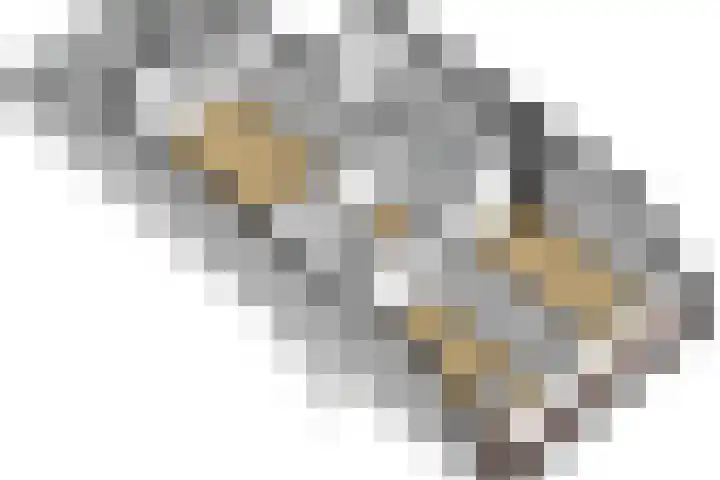 Schoondonk 1 Oosterhout thumbnail 42