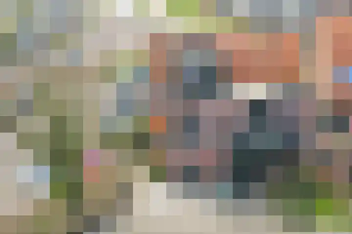 Schoondonk 1 Oosterhout thumbnail 6