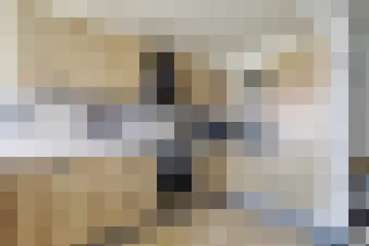 Schoondonk 1 Oosterhout thumbnail 9