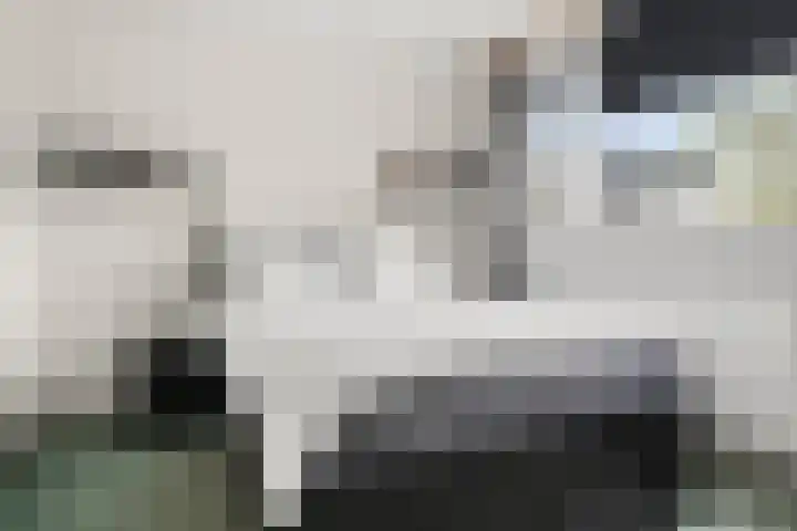 Schoonenburg 116 Ede thumbnail 14