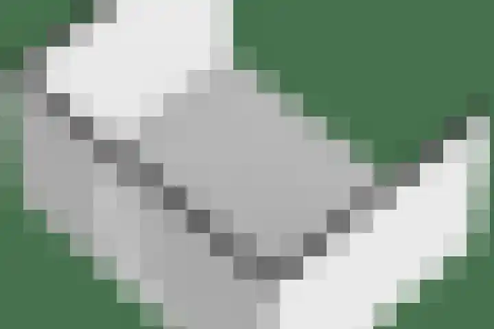 Schoonenburg 116 Ede thumbnail 42