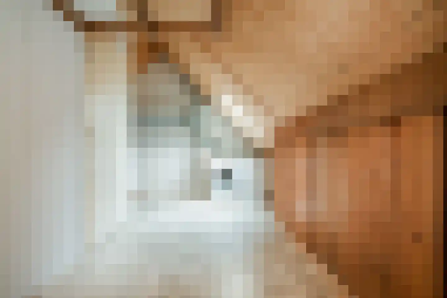Schoonenburgsingel 158 Hoofddorp thumbnail 32