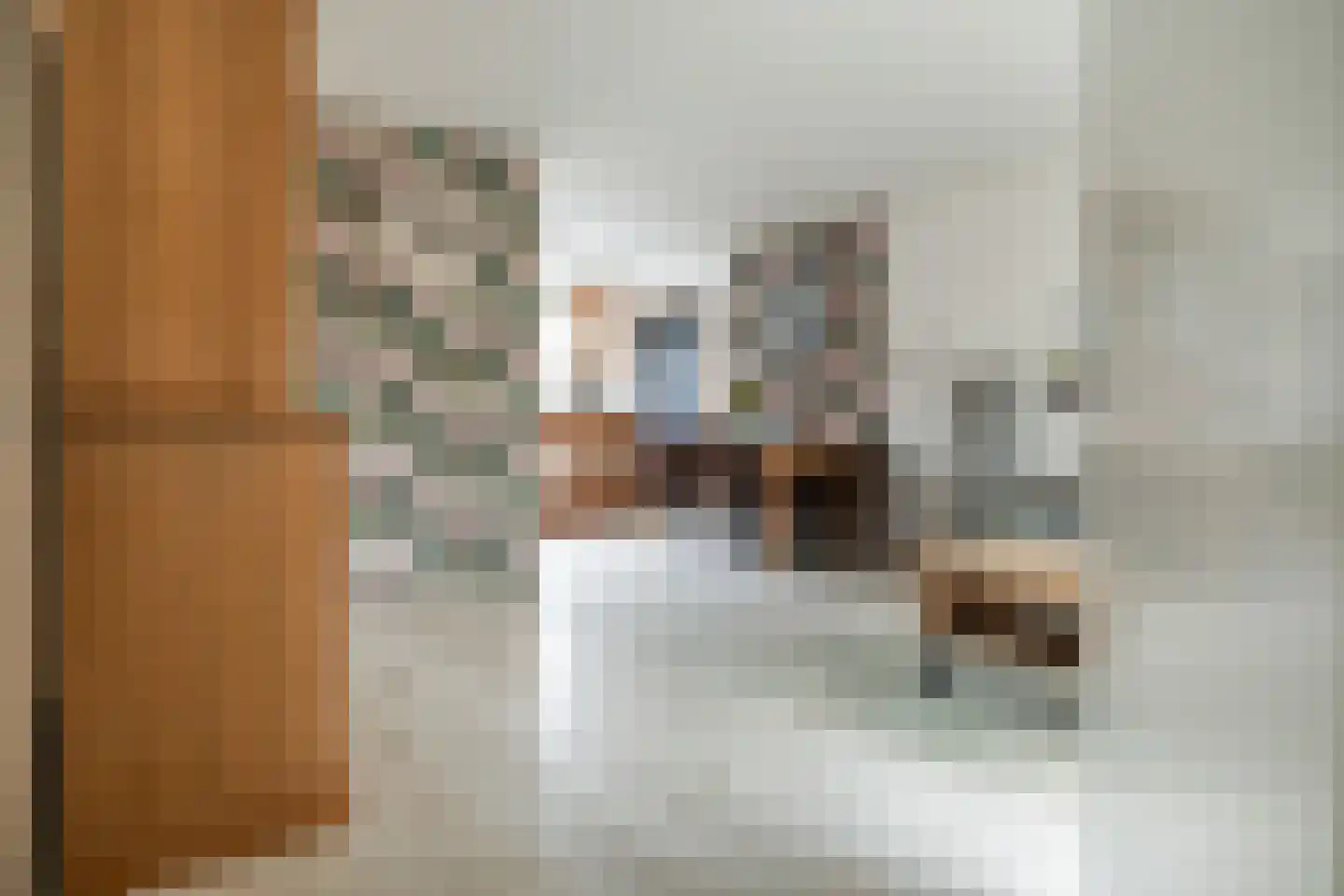 Schoonenburgsingel 158 Hoofddorp thumbnail 6