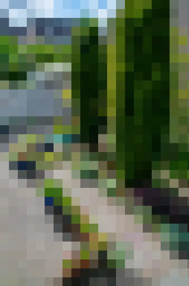 Schoonenburgsingel 9 Hoofddorp thumbnail 32
