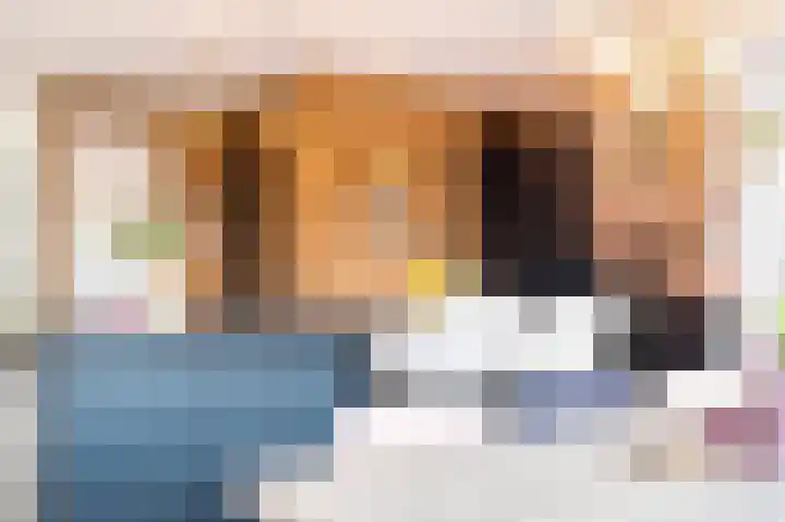 Schoonrijder 28 Sappemeer thumbnail 26