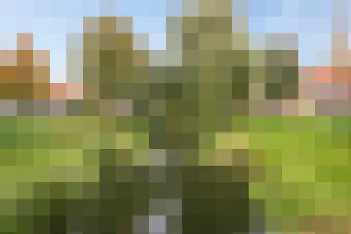 Schoonveldsingel 9 Vught thumbnail 46