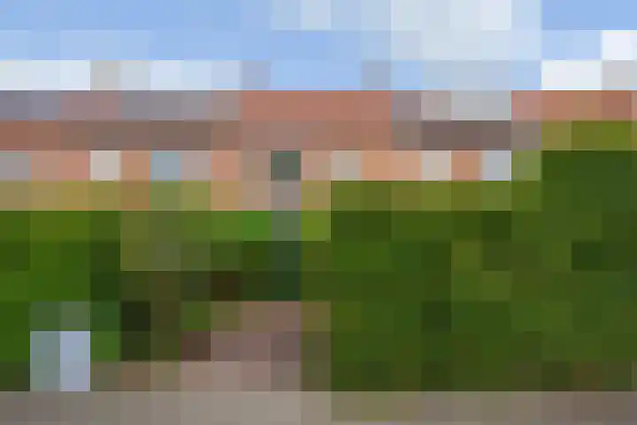 Schoonveldsingel 9 Vught thumbnail 47