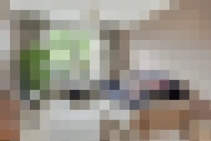 Schoonveldsingel 9 Vught thumbnail 6