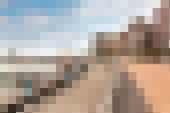 Schoonzicht 246 Lelystad thumbnail 4