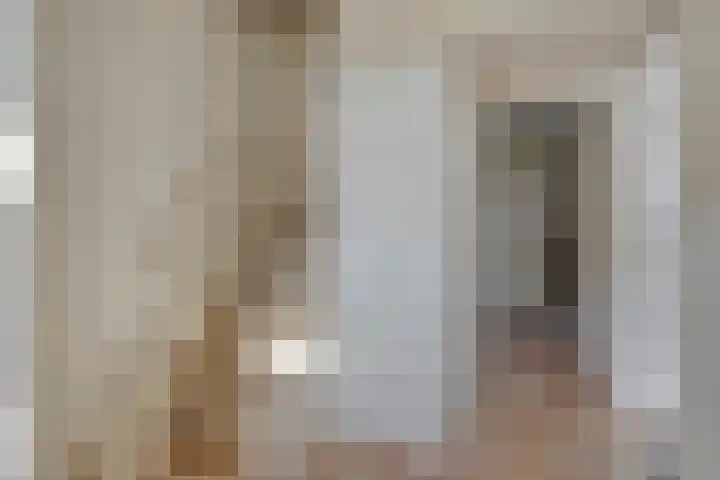 Schoorswinkel 66 Gemert thumbnail 11
