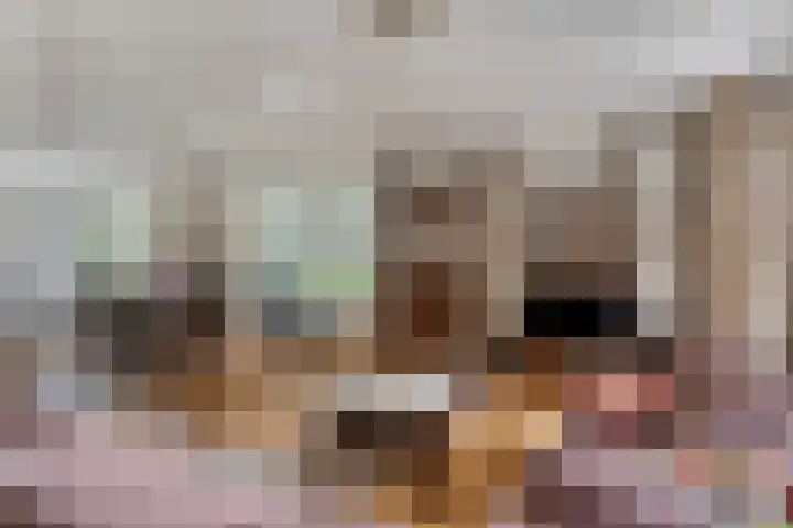 Schoorswinkel 66 Gemert thumbnail 13