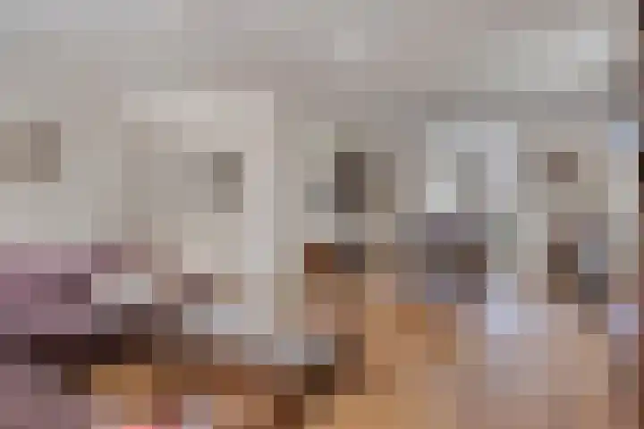 Schoorswinkel 66 Gemert thumbnail 14