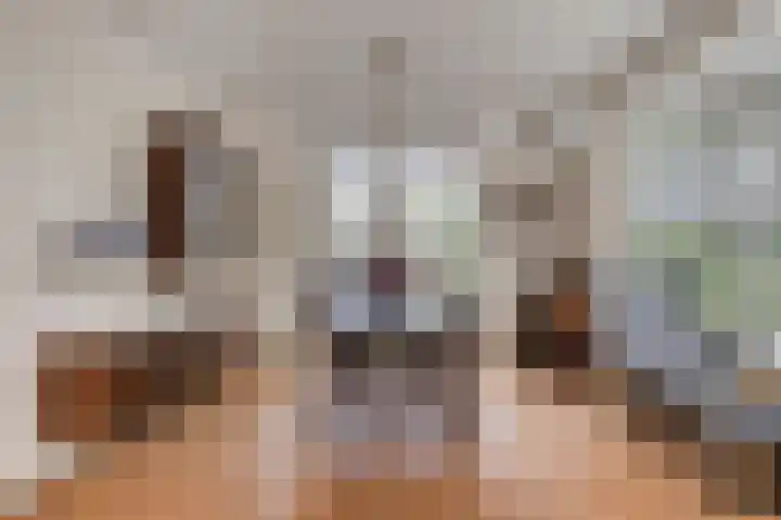 Schoorswinkel 66 Gemert thumbnail 15