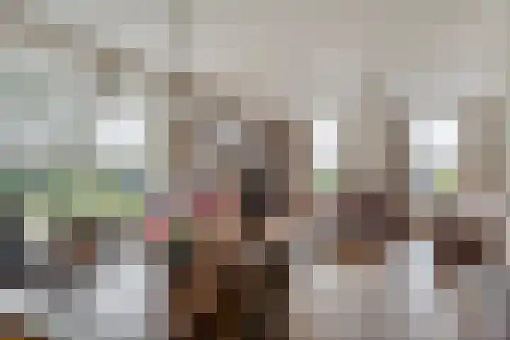 Schoorswinkel 66 Gemert thumbnail 16