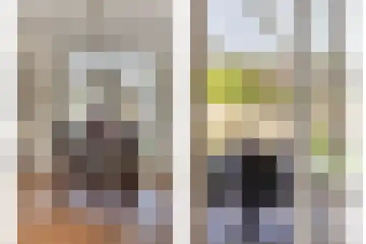 Schoorswinkel 66 Gemert thumbnail 19
