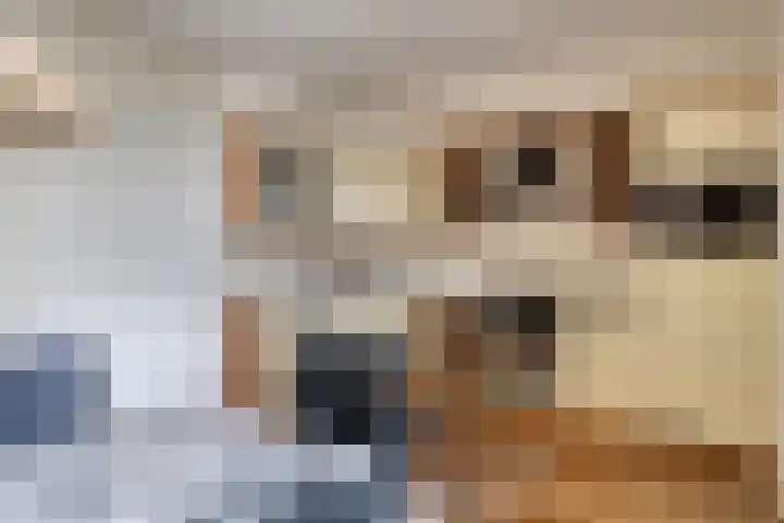 Schoorswinkel 66 Gemert thumbnail 21