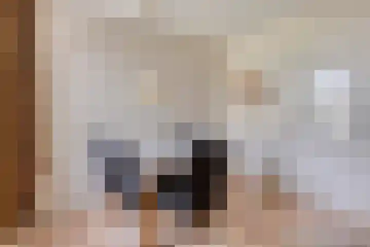 Schoorswinkel 66 Gemert thumbnail 23
