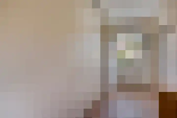 Schoorswinkel 66 Gemert thumbnail 24