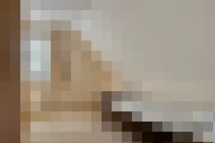 Schoorswinkel 66 Gemert thumbnail 30