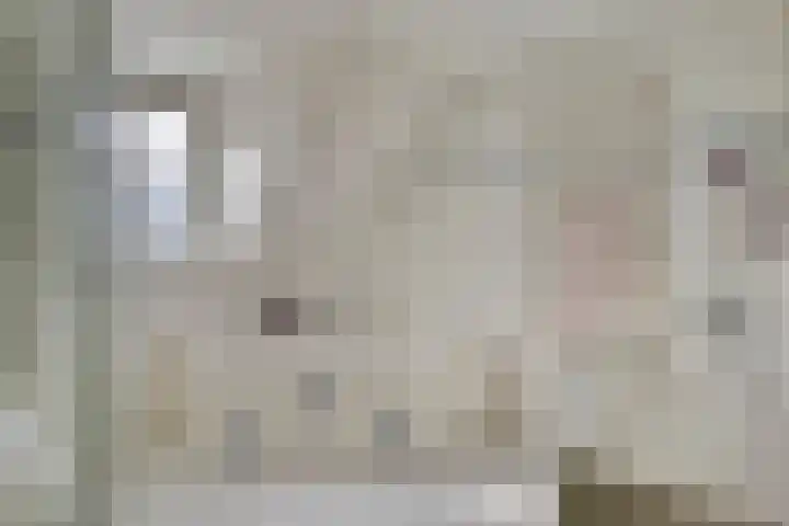 Schoorswinkel 66 Gemert thumbnail 31