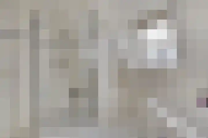 Schoorswinkel 66 Gemert thumbnail 32