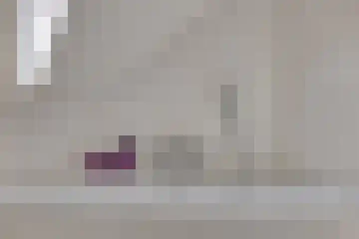 Schoorswinkel 66 Gemert thumbnail 33