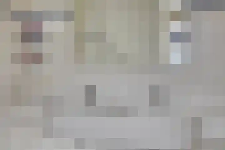 Schoorswinkel 66 Gemert thumbnail 34