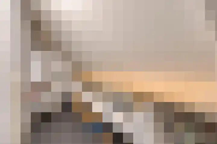 Schoorswinkel 66 Gemert thumbnail 35