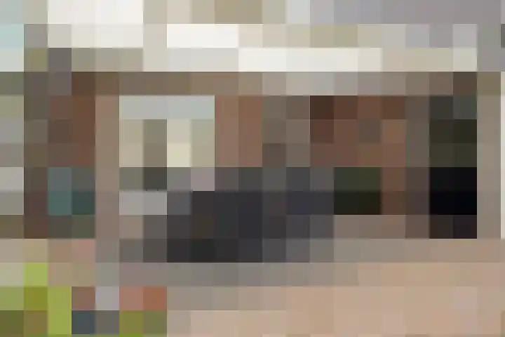 Schoorswinkel 66 Gemert thumbnail 4