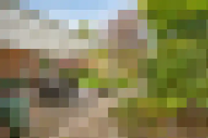 Schoorswinkel 66 Gemert thumbnail 40