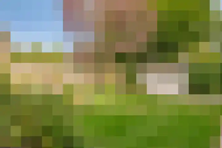 Schoorswinkel 66 Gemert thumbnail 41